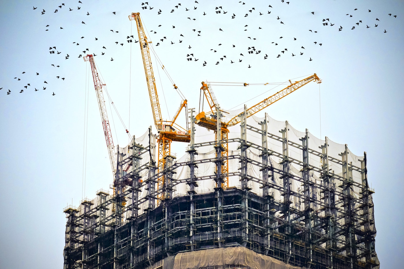 ASSURANCE DÉCENNALE | La garantie des professionnels du bâtiment
